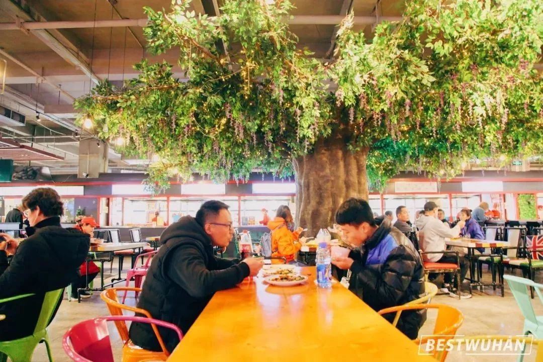 西餐厅放什么绿植_西餐厅适合放什么绿植植物_餐厅植物西绿植适合放客厅吗